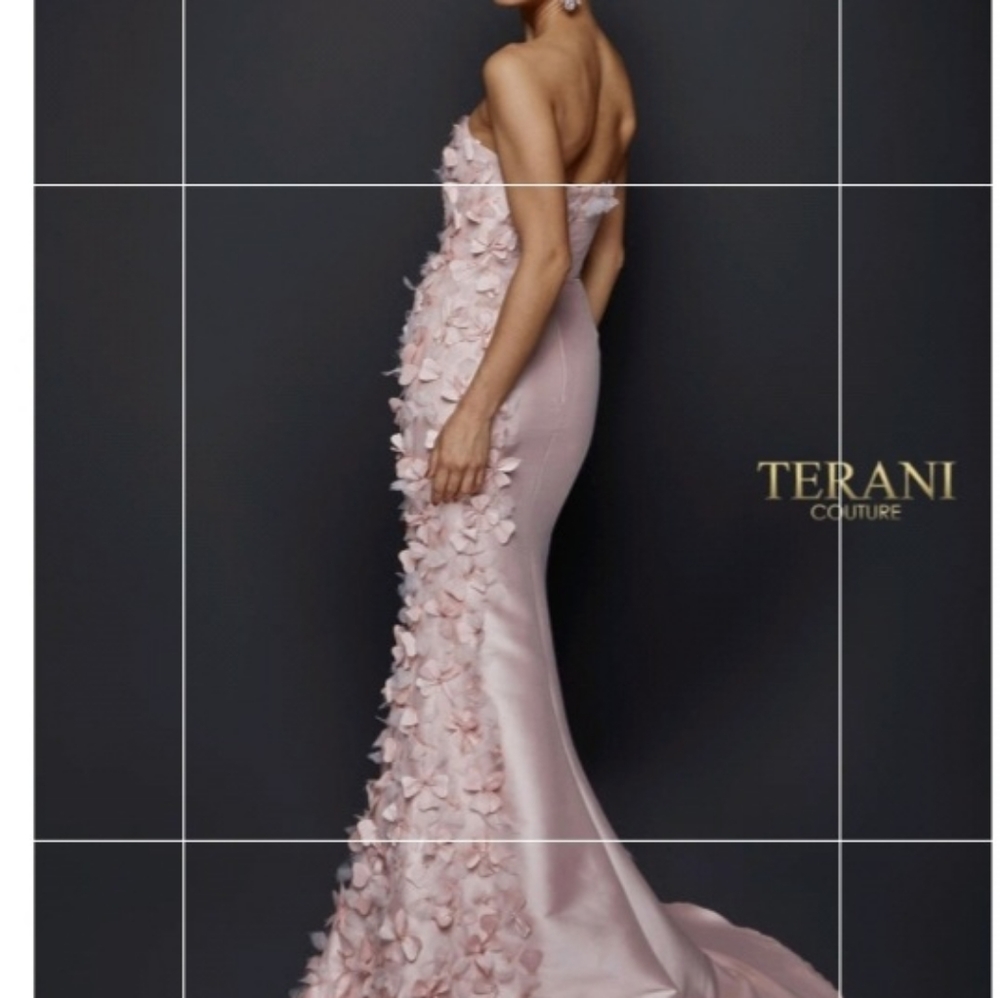 Terani Couture Evening Gown size 4